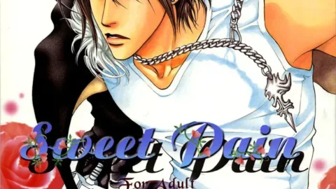 Sweet Pain (FFVIII) by Yamane Ayano