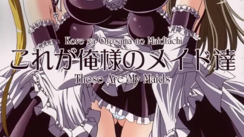 Yukimi Honpo’s Maids: Kore ga Ore-sama no Maid-tachi