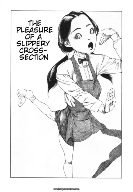 Shintaro Kago: Slippery Pleasures