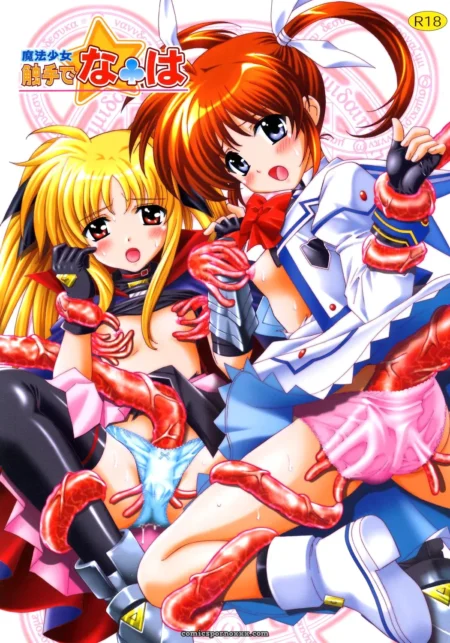 Mahou Shoujo Nanoha: Shimekiri Sanpunmae Tukimi Daifuku SaHa