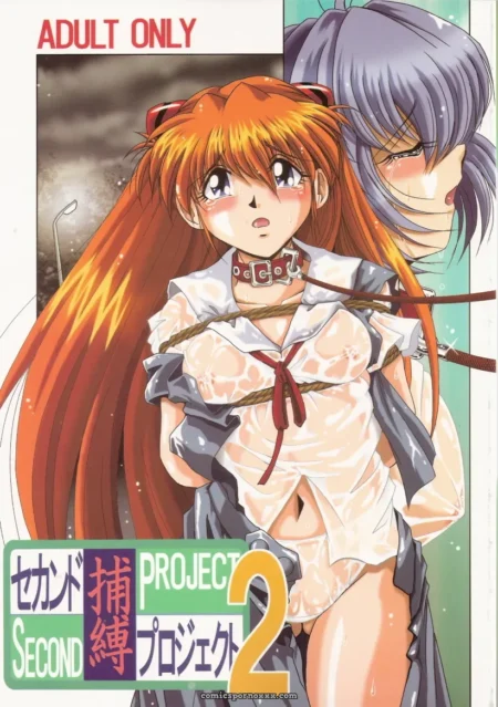 Thirty Saver Street 2D Shooter: Second Hobaku Project 2 (Evangelion)
