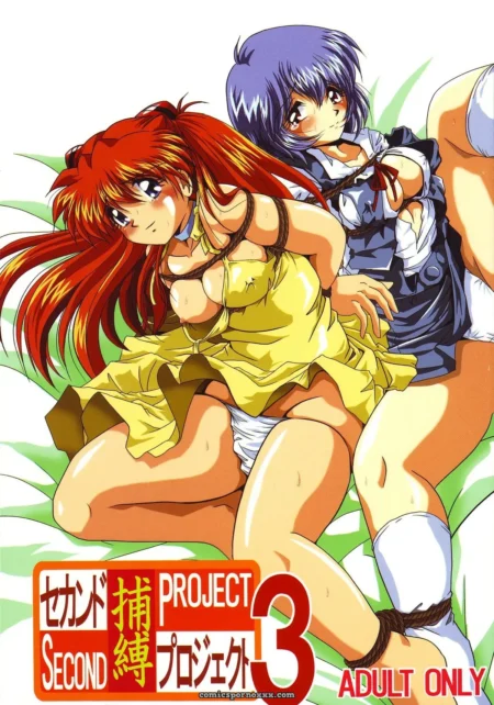 Thirty Saver Street 2D Shooter: Second Hobaku Project 3 (Evangelion)