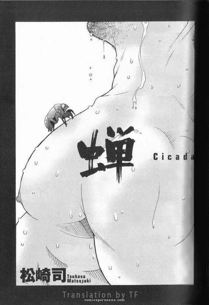 Tsukasa Matsuzaki – Cicada