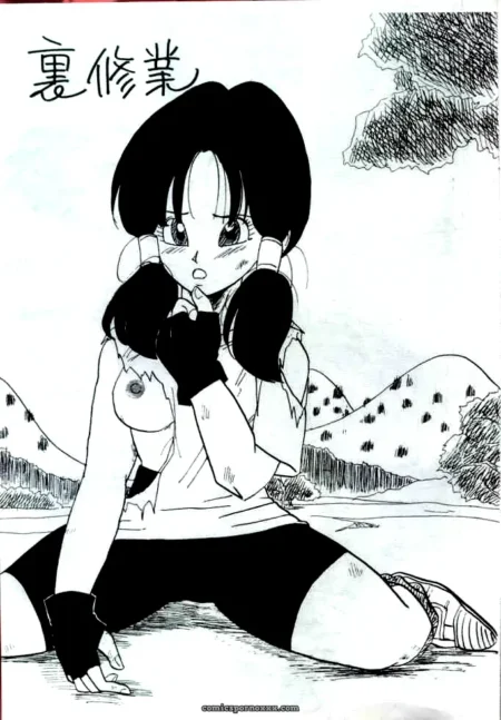 chirigami-goya-fusuma-go-ten-shoji-hariko-dragon-ball-z-c44-english-featured-image