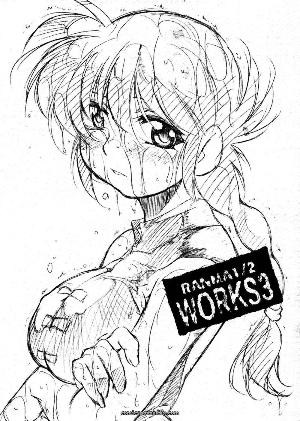 Ranma1/2 Works 3 (Entokkun)