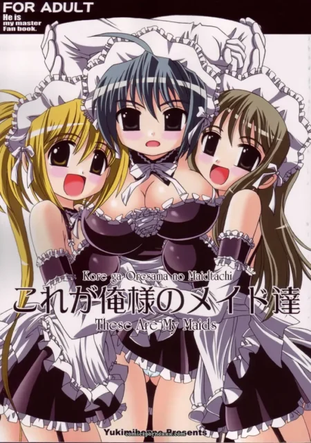 Kore Ga Ore-sama No Maid-tachi (Asano Yukino)