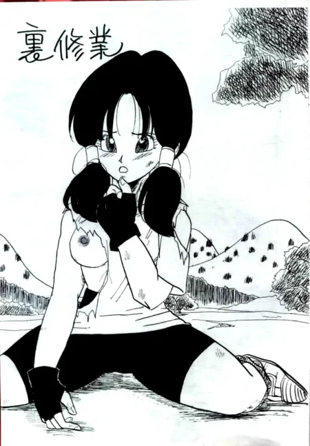 [Chirigami Goya, Fusuma go Ten (Shoji Hariko)] XX (Dragon Ball Z)