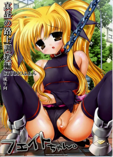Studio Huan's Fate-chan: Mahiru no Rojou Choukyou Hen (Lyrical Nanoha SC36)