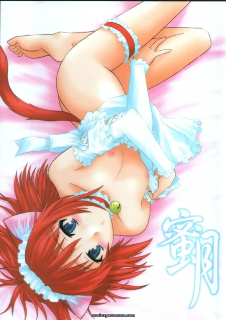 Tsukihime Mitsugetsu Vol. 3: Akari Tsutsumi - C63