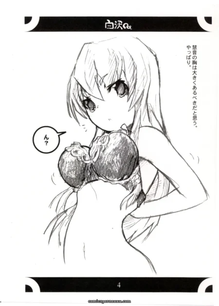 Shirasawa (Touhou Project) - C67 Doujinshi