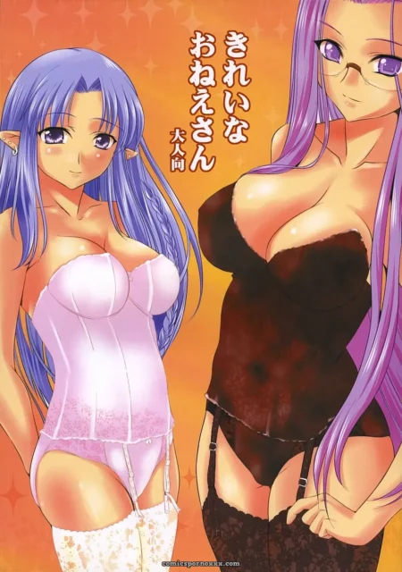 CR36 Goromenz Yasui Riosuke Kirei na Onee-san Fate stay night
