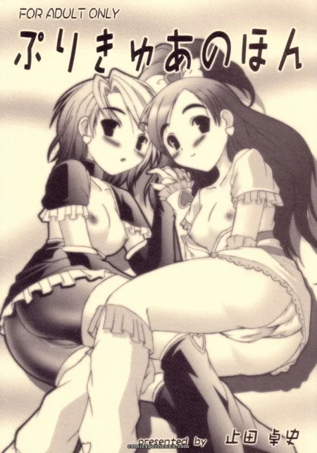 Ashitakara Ganbaru Yameta Takashi Precure no Hon Futari wa Pretty Cure C66