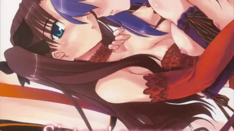 Sisters’ Syrups Shimoyakedou Fate Stay Night SaHa