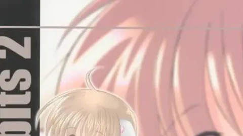 Chiibits 2 Chobits HMP Sawatari Yuuka LoveLess