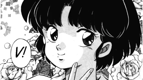 Stupid Akane by Takashi Taya Ranma 1/2