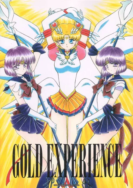 Black Dog Gold Experience: Bishoujo Senshi Sailor Moon