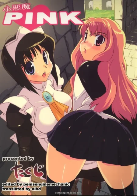 Koakuma PINK (Zero no Tsukaima) Studio Wallaby Takuji Aihd